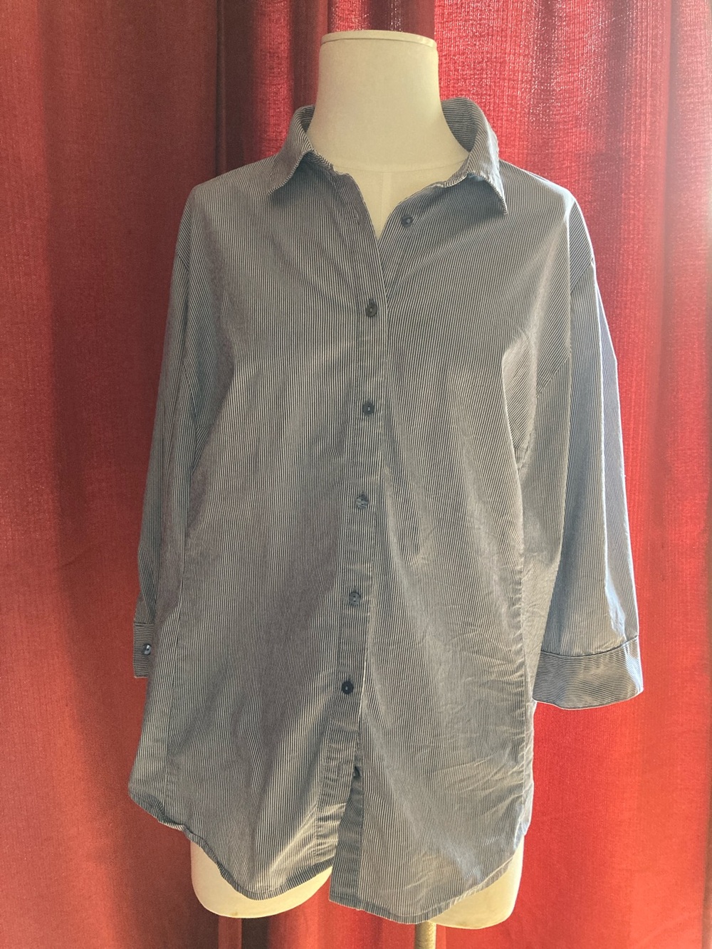 Worthington Woman Women’s Blue Striped Button-Up Shirt